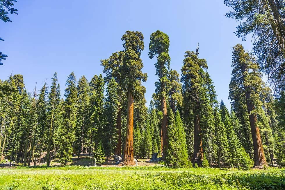 John Muir Lodge Hume Ngoại thất bức ảnh